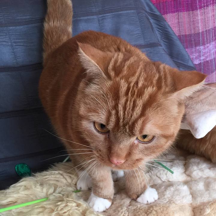 929955b9 51ba 440b a0cf b73722630aad 1547769197019