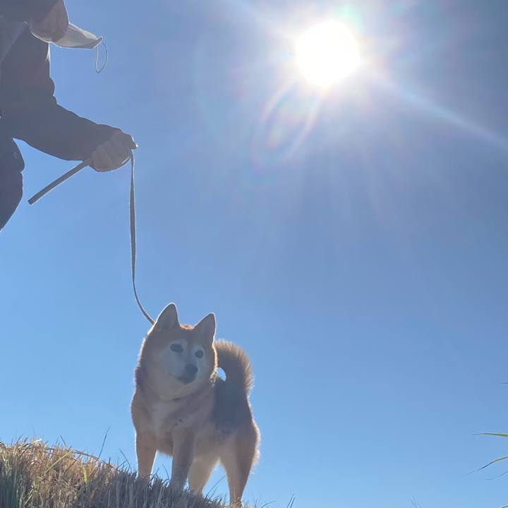 92996065 c12c 4924 b4b3 229e0abf002c 1732434071985