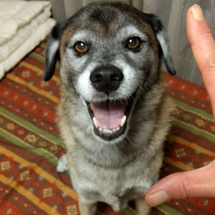 9299ab23 e9af 4840 b907 72cd2505c66a 1507554889953