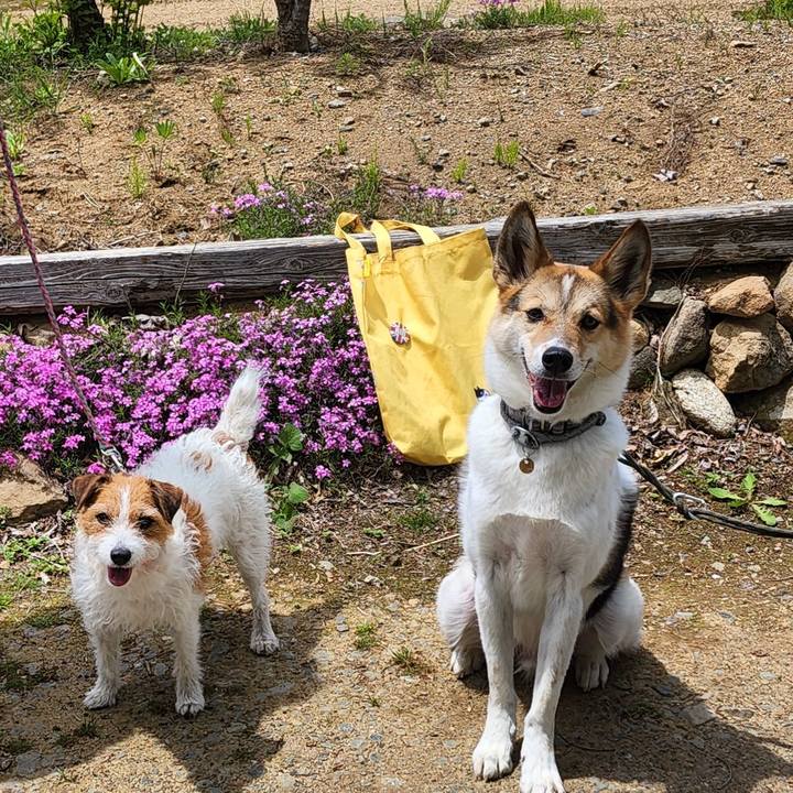 9299c522 0a48 41a4 bd41 5e0e6ee450a9 1651808541456