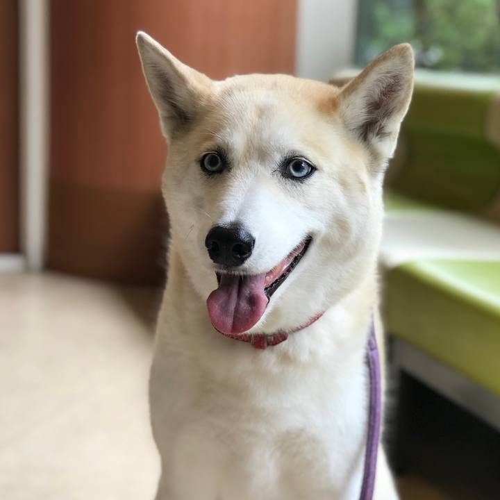 9299d768 517f 4012 8a2c d65255c915f6 1683509830731