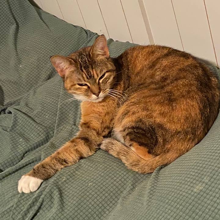 929a465b 2093 48a4 9abe e252dbbcc8ed 1578236970656