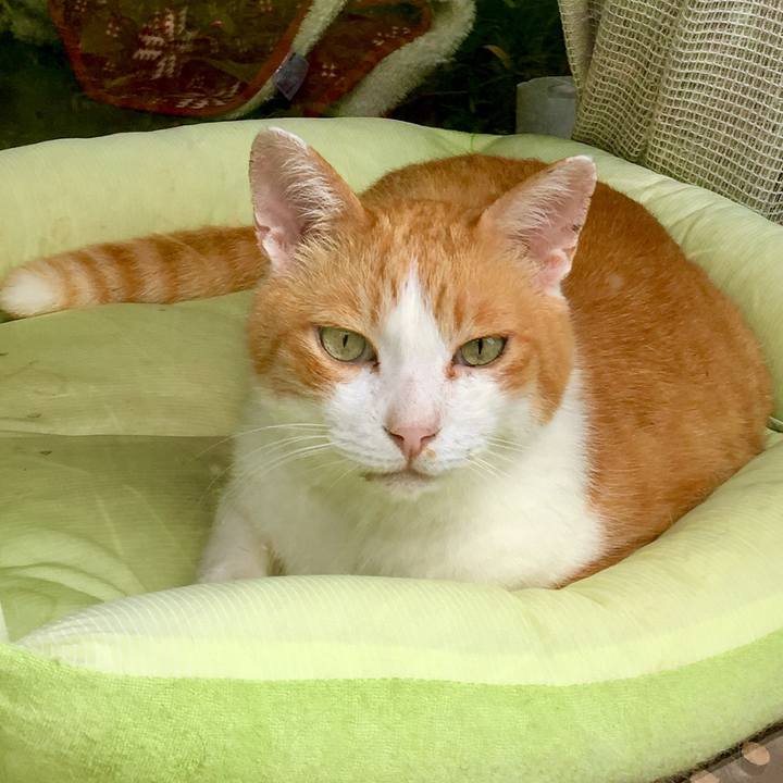 929a7f4f 6284 40a6 ab21 0f79dc5dc087 1565753009394