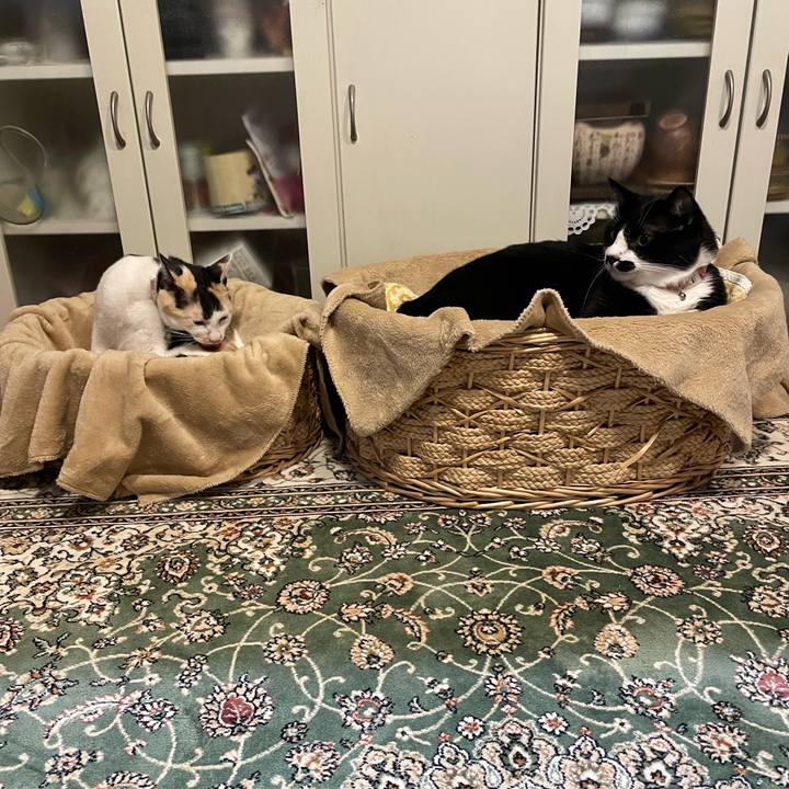 929ab4c6 01ce 4d2b ae30 1707b14bcf13 1675072288450