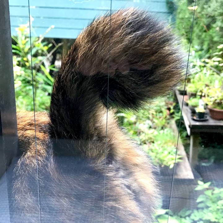 929abd58 dc29 448b 9809 f513f90721fb 1529132611912