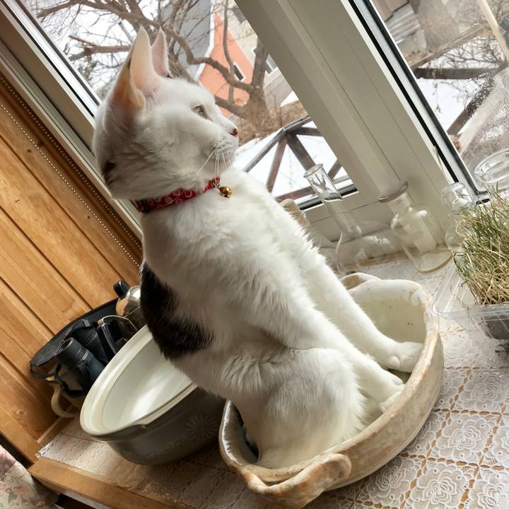 929baa42 63bc 471c 93ea 890599b411bc 1553912409430