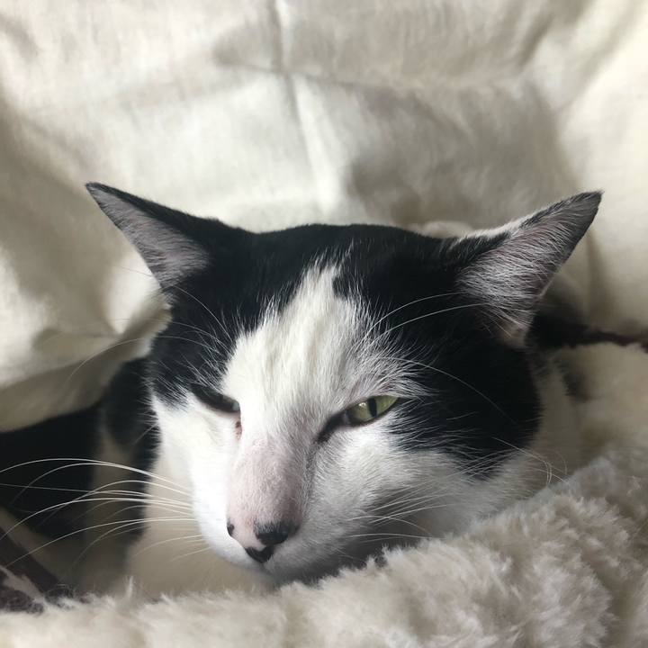 929bd227 a11a 42d4 bb6d 587f82229737 1586487917687