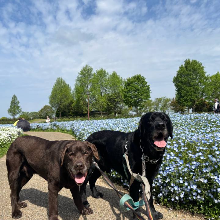 929c6565 19d4 471c ac3e 4eef21af6140 1776599060109