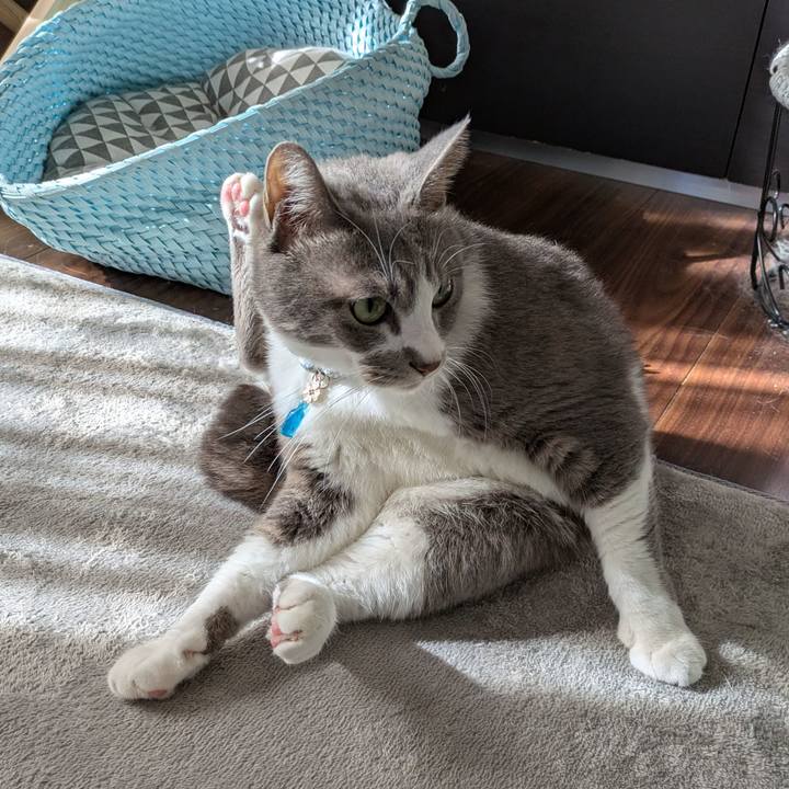 929c8795 24ef 42f9 a3d6 5efcf5ccd116 1732339962742