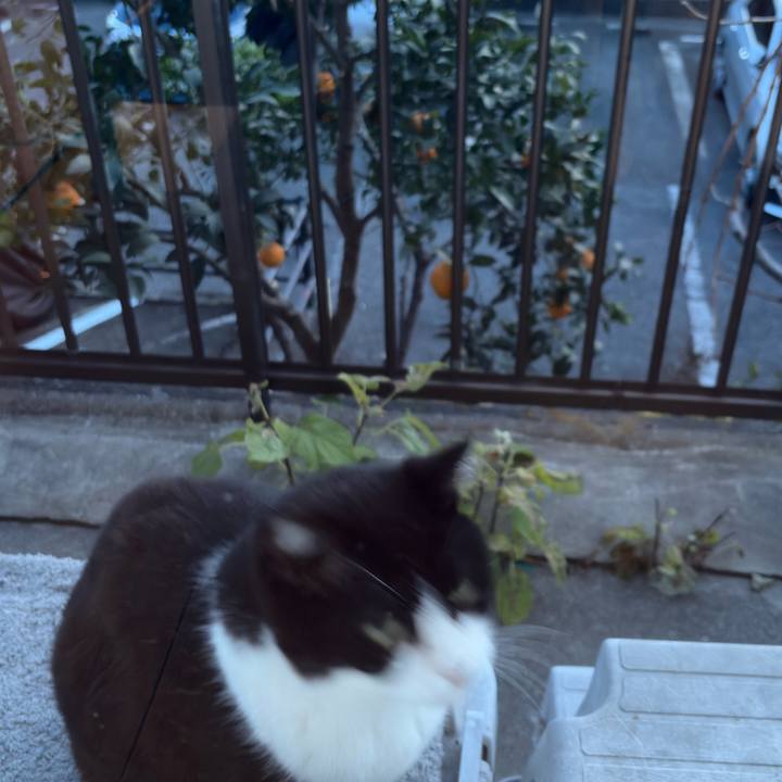 929cab79 cd29 4a96 9c72 65ab8c0b07e7 1767081363968