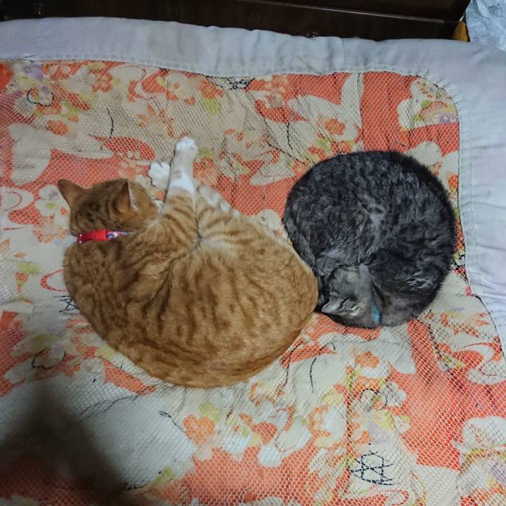 929cb9f7 7df5 41db be57 ed6f11ed7cc0 1577364442707