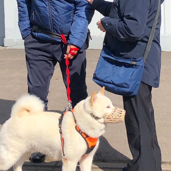 929d02d6 9844 432c a2c1 3419ce673978 1615604475799