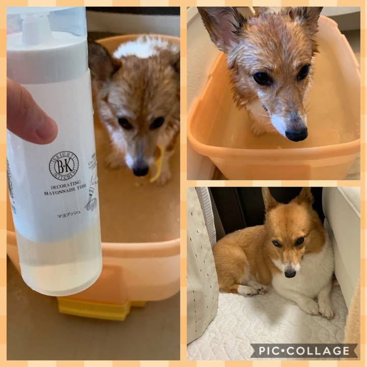 929d03a0 a16d 4e27 8ece 1ed7a648f959 1569644590668