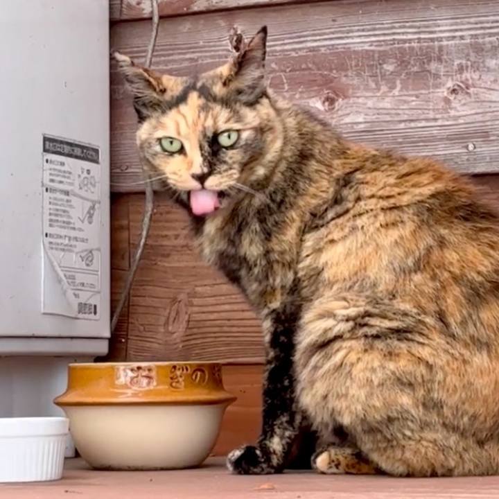 929d07f1 3be1 4365 b992 ee941309e493 1749265350560