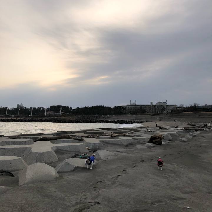 929d24eb 1683 4361 ae5f 1b6d96f18f12 1582587467874