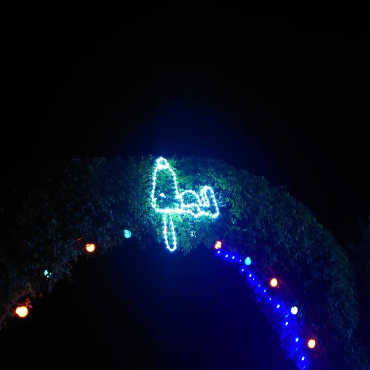 929d279b 0f31 4ef5 83a5 19a3c998c100 1763981358882