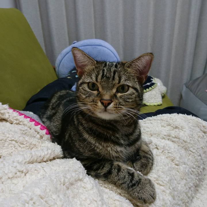 929d5fa5 3952 44ae 97e0 73e86aa6304e 1508588335479