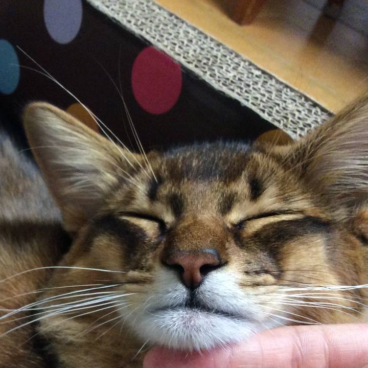 929d81f6 aba8 4ecd 9a4d e575f78447ec 1584051105943