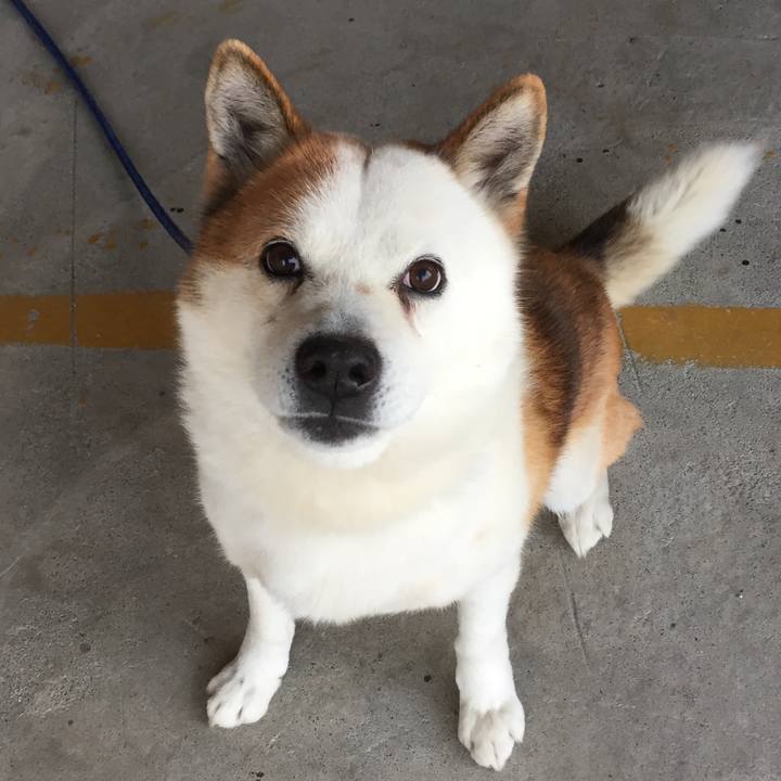 929da04c 0db7 4063 951e c34dfff037a0 1520762042446