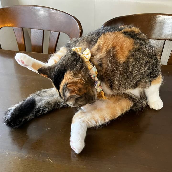 929dbbd3 a02c 4641 a137 000b57658ec9 1774740341078