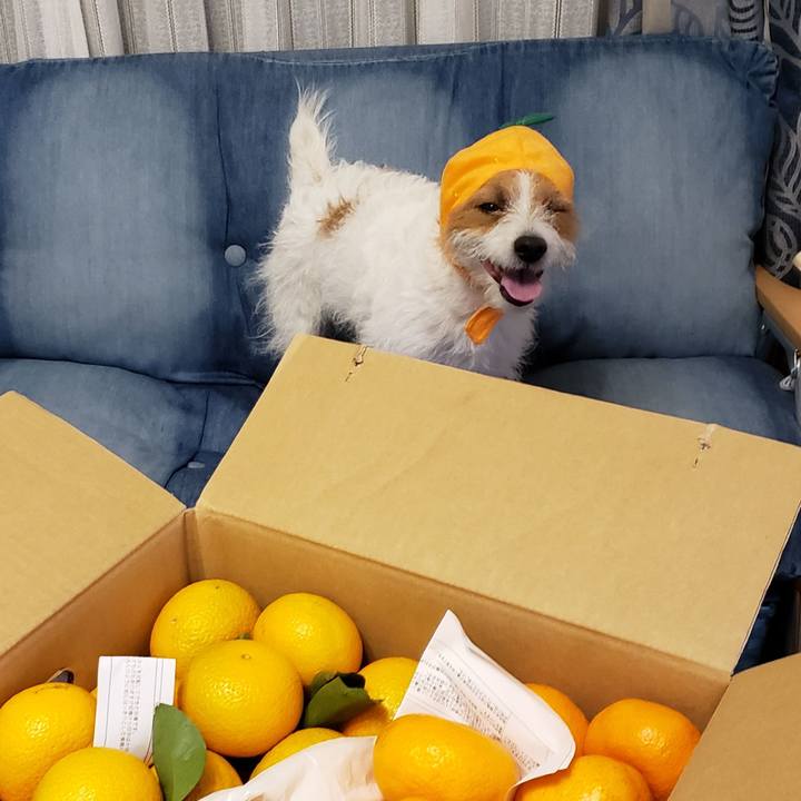 929de9b9 2bf2 44db 81f2 83dcb9ce6edc 1611403211917