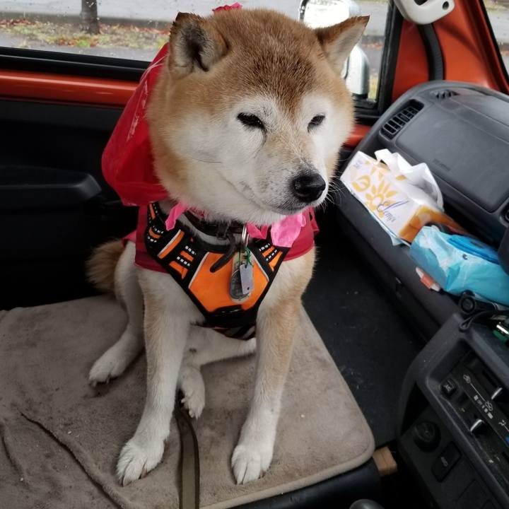 929dec49 a7d4 4c86 ae9d a02cb34e3fad 1700459449971