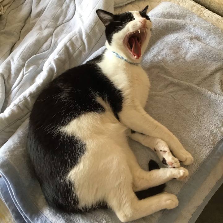 929dff7b ab24 4cac aec5 d3d3d9b7eb77 1687354480181