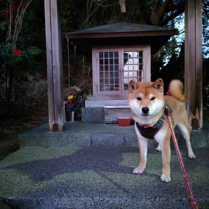 929e2475 8651 4360 8e10 2f5cf199d378 1771892506453