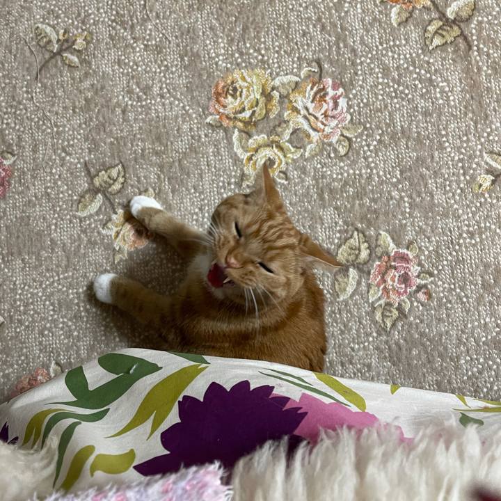 929e4d64 e4e3 4764 877f fa4d4693c146 1609674555372