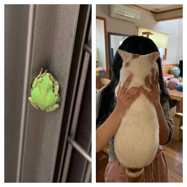 929e9a9e 6a11 47ca 8db4 8781bcd00b3b 1625313392377