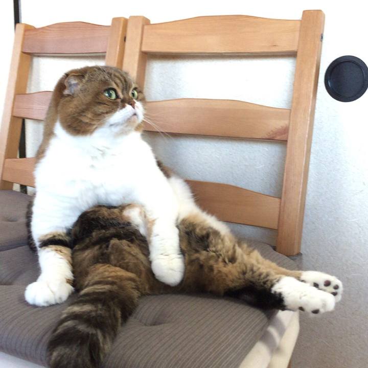 929ea8ff 5011 4739 8afc d1f314a416b0 1536032582829