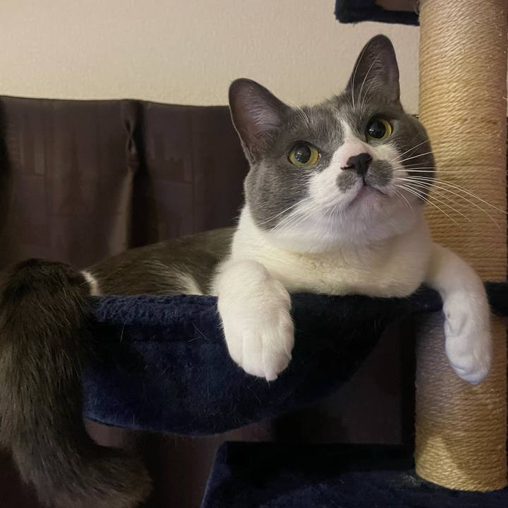 929ec9d8 c8ef 4a6d ba28 53c43e6f7ed8 1636531741963