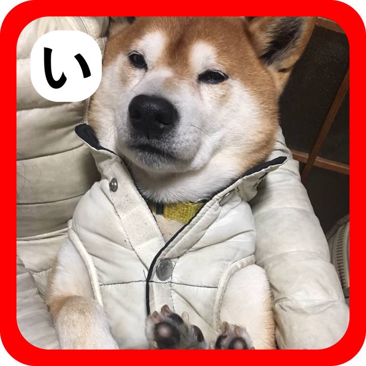 929ed087 b626 4549 bf23 7deff6606ccf 1515033443962