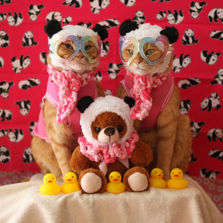 929ed19f bbb5 4771 8ad1 84131fd9ed67 1517902725077