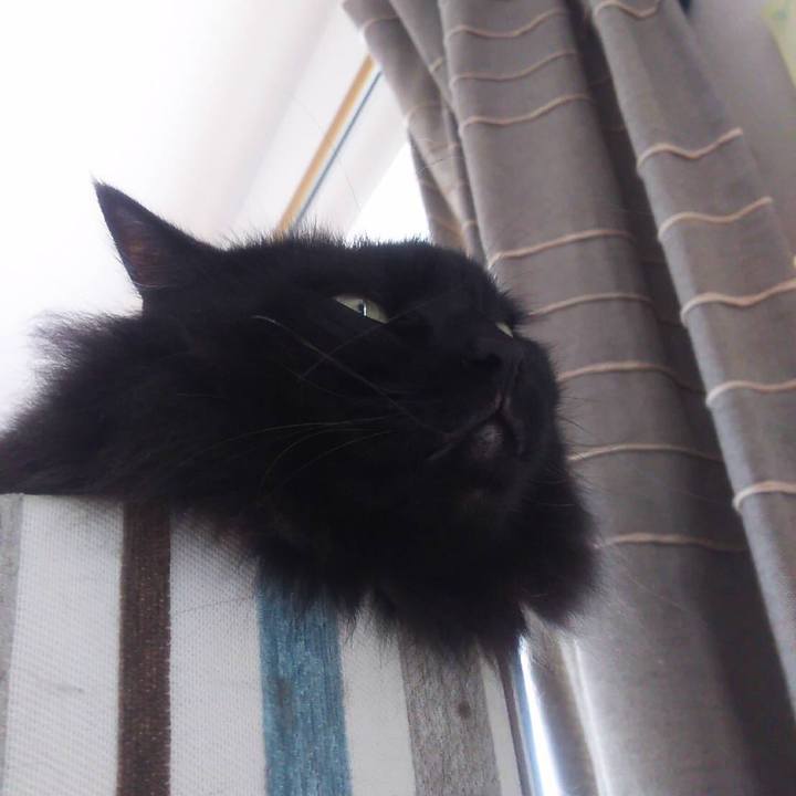 929ee989 63d2 4bdf 8c2d e2c4ba625b64 1573285795530