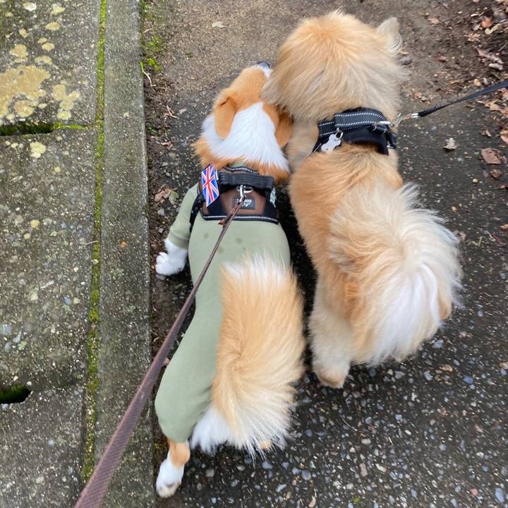 929f1bb4 798f 4af9 8828 e2ebd7aae534 1633653354135