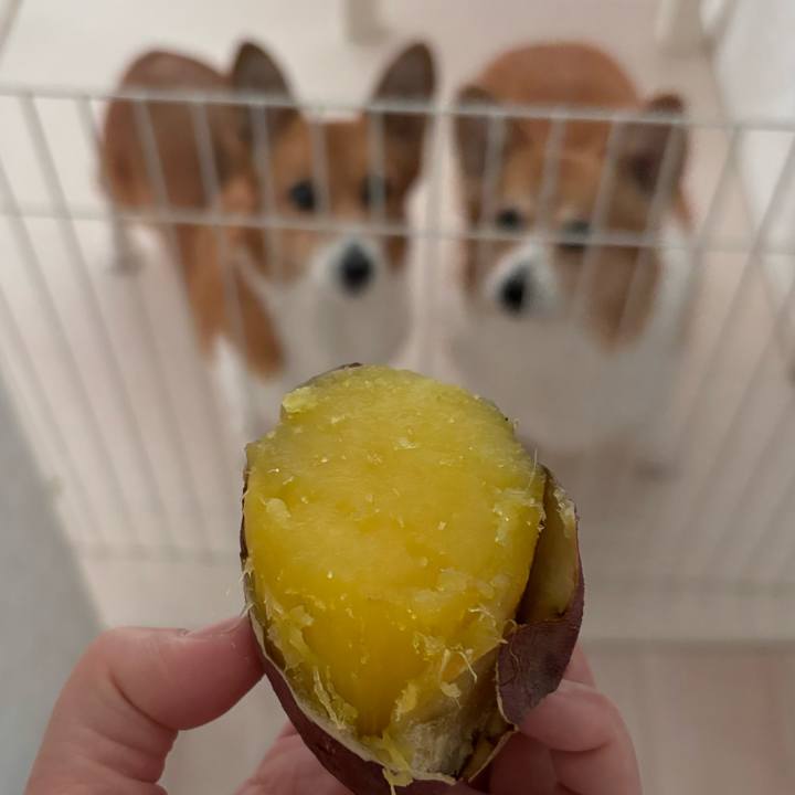 929f1fe1 d426 41eb ba23 9bb94044ee64 1738050332573