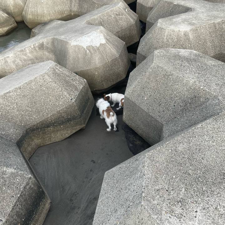 929f2899 af16 4c23 8431 54ead0ca84d1 1727653092381