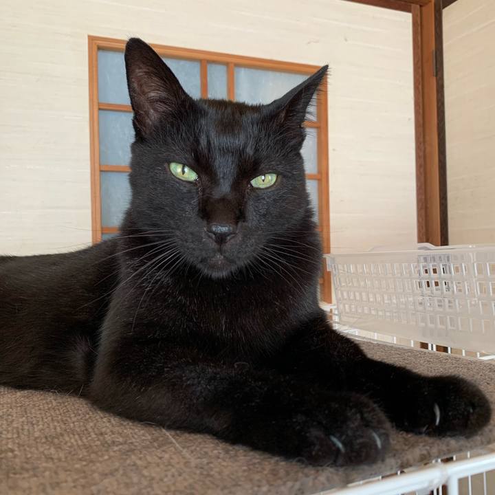 929f2c9e a343 4c2b 8a64 dfd55395cd15 1601340221256