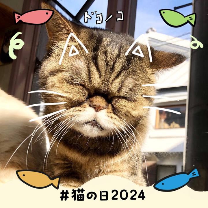 929f4474 4461 40dd b6cf dff64ed8bd79 1708583195741