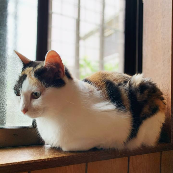 929f859b 0fa0 495a 9436 aa116fb37cbc 1597370280480