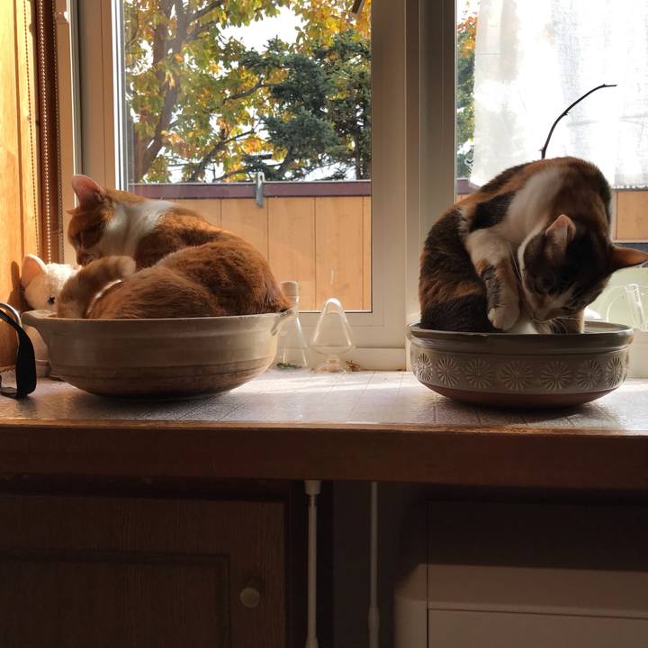 929fbc9c b4a7 4256 8584 a502117f8be4 1699155516209