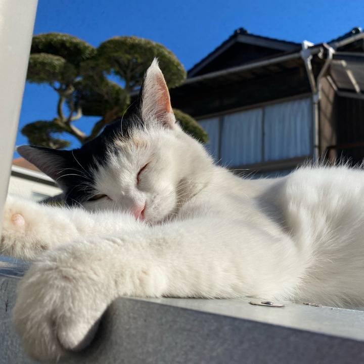 929fed4d c454 47ed 8ac1 baca7d36da62 1641553980066