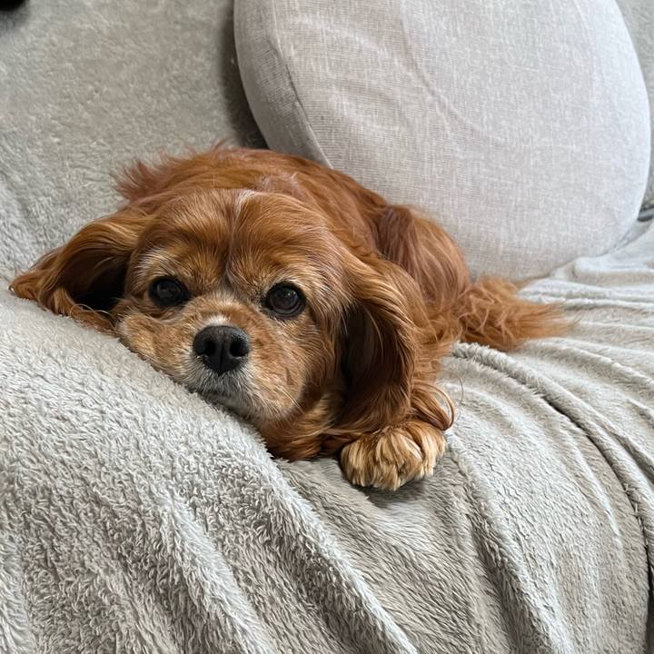 92a00f84 f363 4886 b9d5 c9629e841fc7 1744755290026