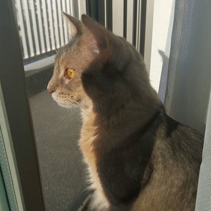 92a032d7 6e83 4e9c b506 3934e63b97ee 1541213494833