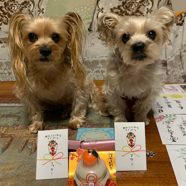 92a039cd 709b 451d 83fc 722e9e840d0c 1767269132875