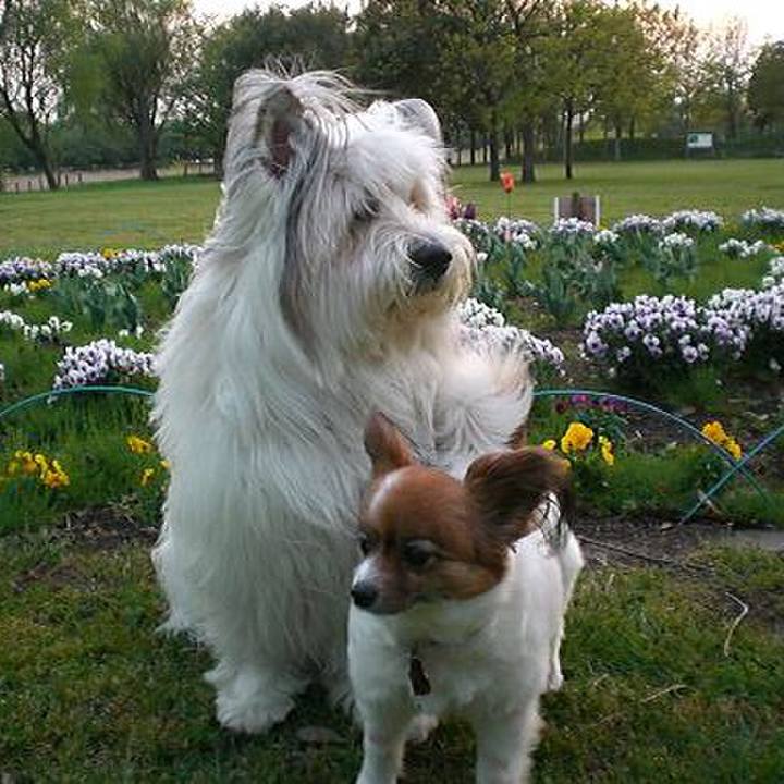 92a04609 26f0 4822 8c8b b02fa225087f 1543388809870