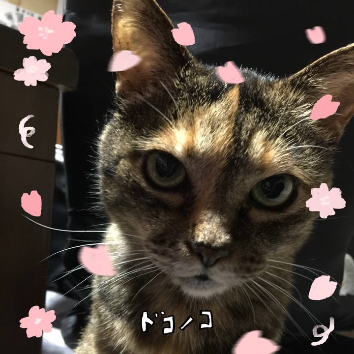 92a05b15 6142 495e 9ba3 113a5c06de8f 1744705694831