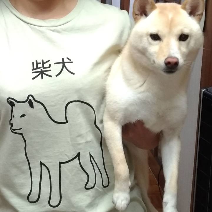 92a06f74 087e 4c8e b3ec 0a39eeb15f9a 1531615769421