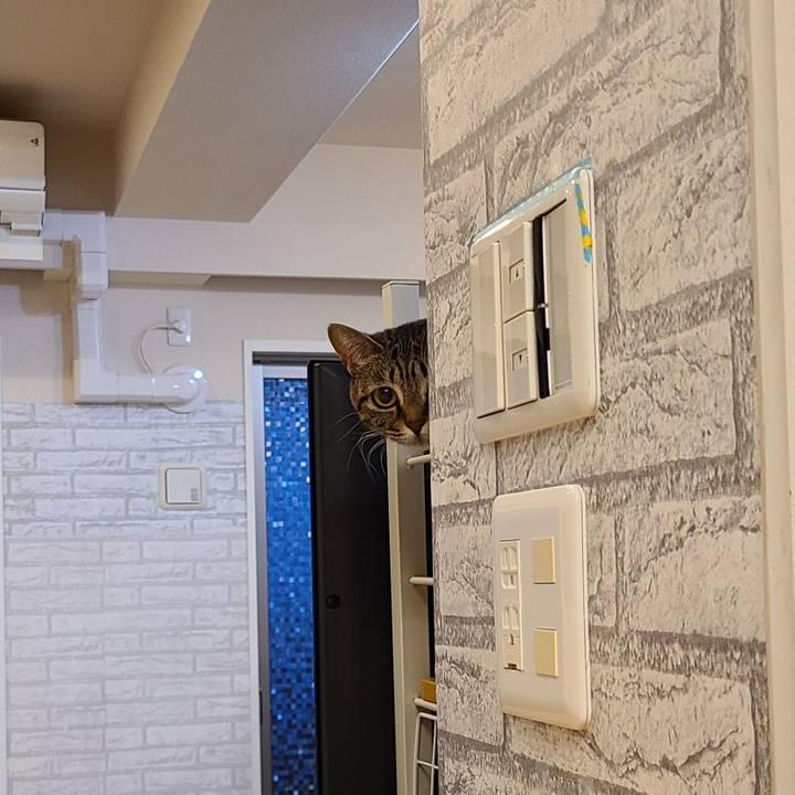 92a087b2 01e3 44bb b8d1 f17340f0d001 1611306477267